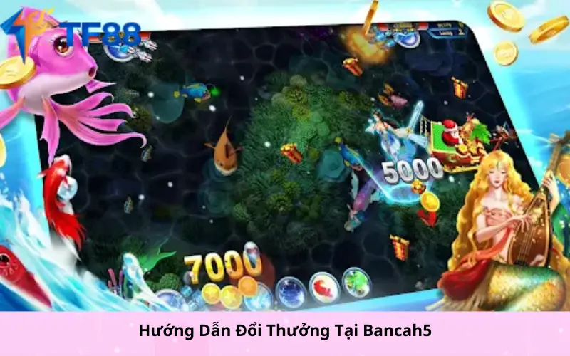 Hướng Dẫn Đổi Thưởng Tại Bancah5